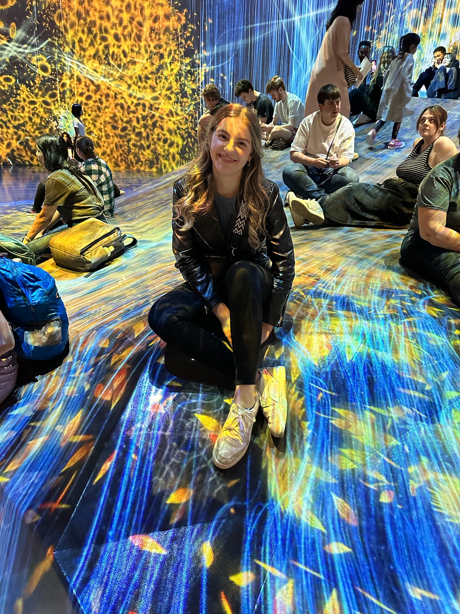 Digital Art Museum