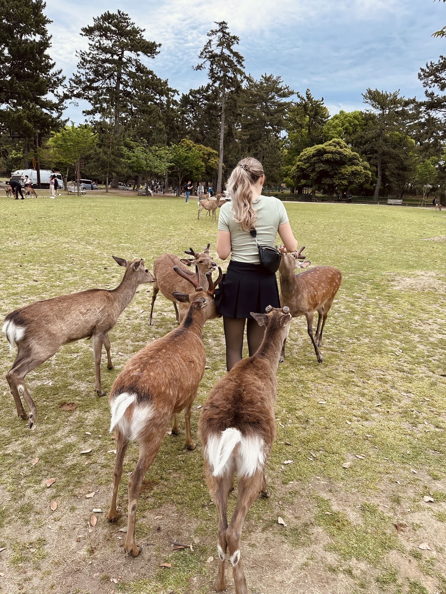 Nara-Park