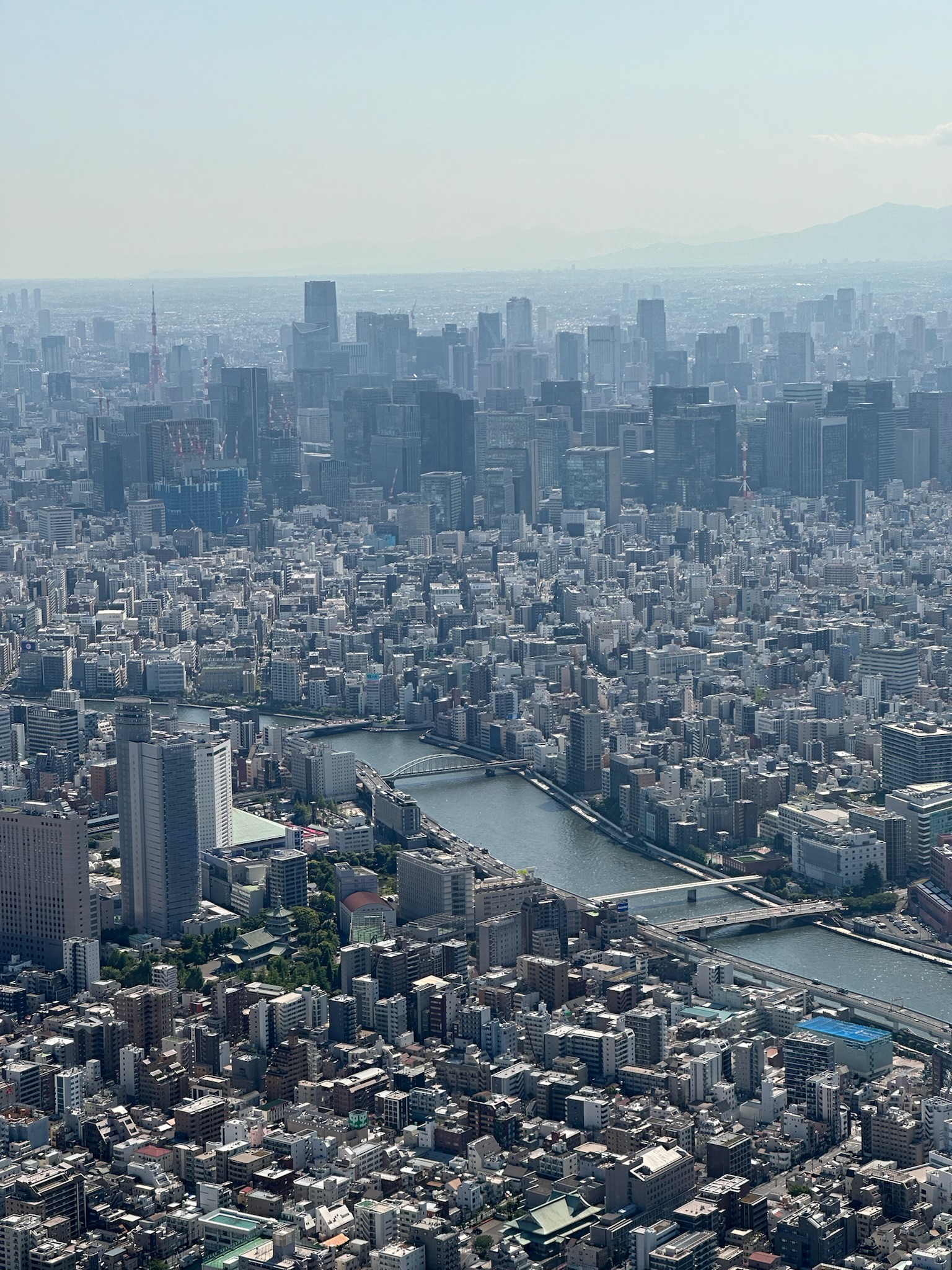 Skytree